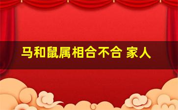 马和鼠属相合不合 家人